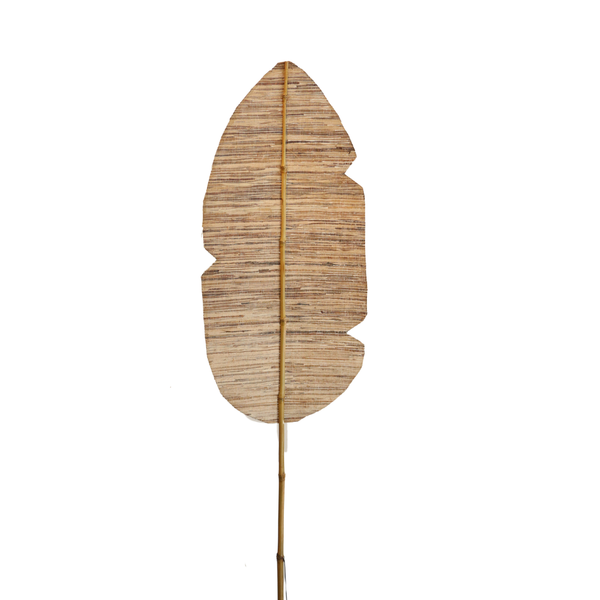 Folha Marrom/Bege Haste Bambu Fibra Natura - 64769