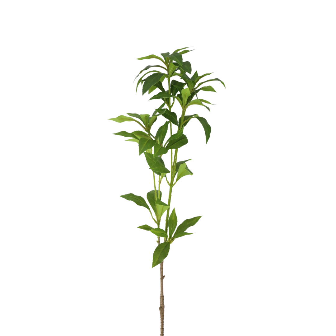 Haste Planta Verde Folhas - 63615