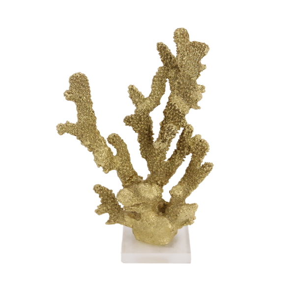 Coral Dourado em Resina e Base de Acrílico Transparente - 63318